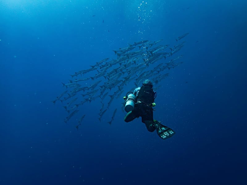 Dimensional Dives
